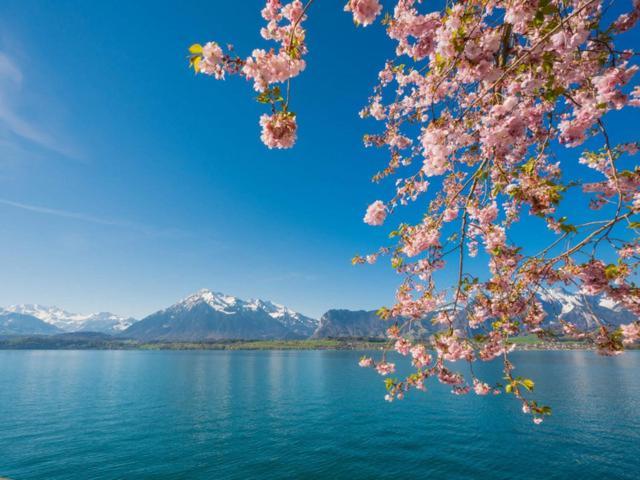 Schoene Ferienwohnung Mit Seeblick Тун Экстерьер фото